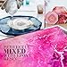Hot Pink Mica Powder for Epoxy Resin 56g / 2oz. Jar - Techarooz 2 Tone Resin Dye Color Pigment Powder for Lip Gloss, Nails, Colorant for Slime Bath Bombs Soap Making & Polymer Clay