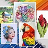 H & B Colouring Pencils Set 180 Oil Based Coloured Pencils Professional Colouring Pencils with Colouring Book Art Set for Beginners Adults Artists - Image 7