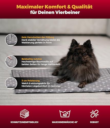 HS-Hundebett® Sommerdecke Baumwolle mit Füllung S (55x75 cm) – Gepolsterte Hundedecke für den Sommer – Wend- & Waschbar – Leichte Hunde Sommerdecke – Anker Grau, Made in DE