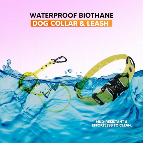 Image of Adil's Biothane Waterproof Dog Collar, Dog Leash & Collar Leash Combo | Heavy Duty TPU Coated Webbing | Adjustable Quick Release Buckle | Odour Resistant (Yellow, L-22, Collar & Leash Combo)