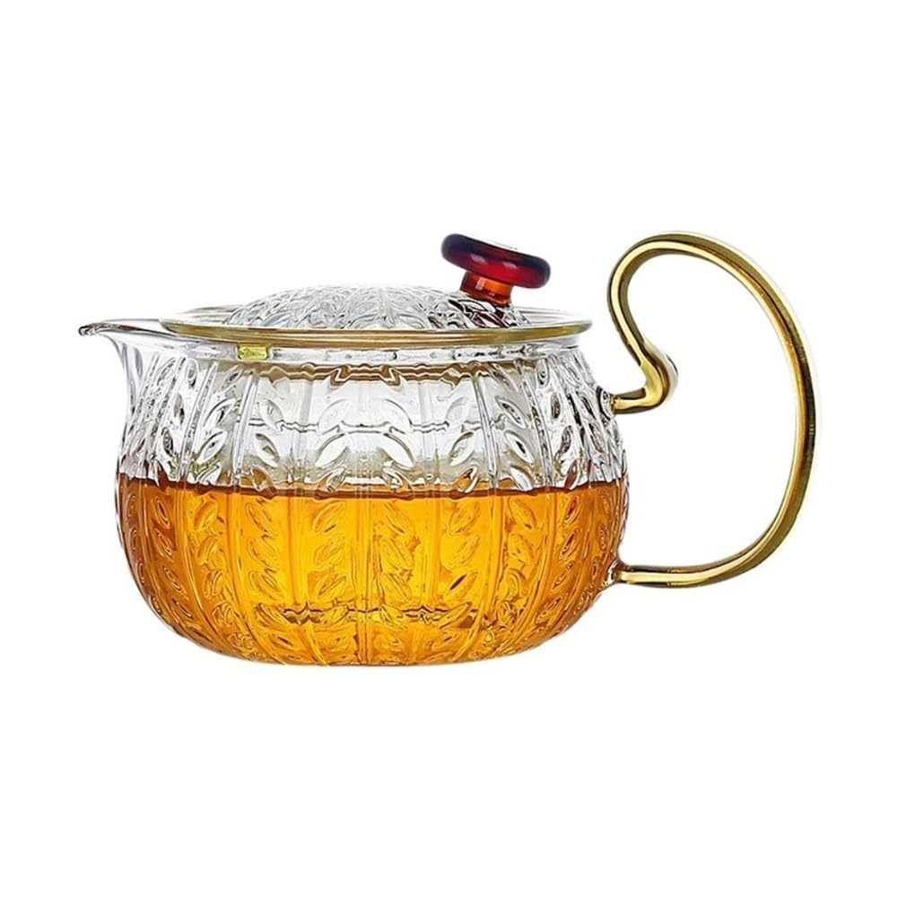 Théière en verre pour préparation du thé maison infusion vrac avec filtre inox