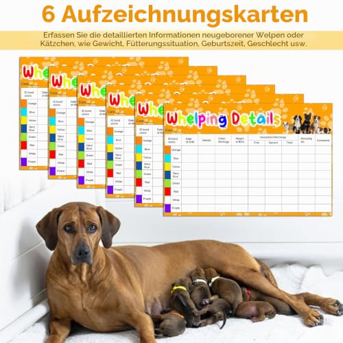ZEVOFIUR Puppy Kitten Whelping Kit Geburtshilfsmittel für Neugeborene Welpen und Kätzchen für die Haltung von Kätzchen Hunde Katzen Fütterung Sets Supplies umfasst Whelping Halsbänder Rekord