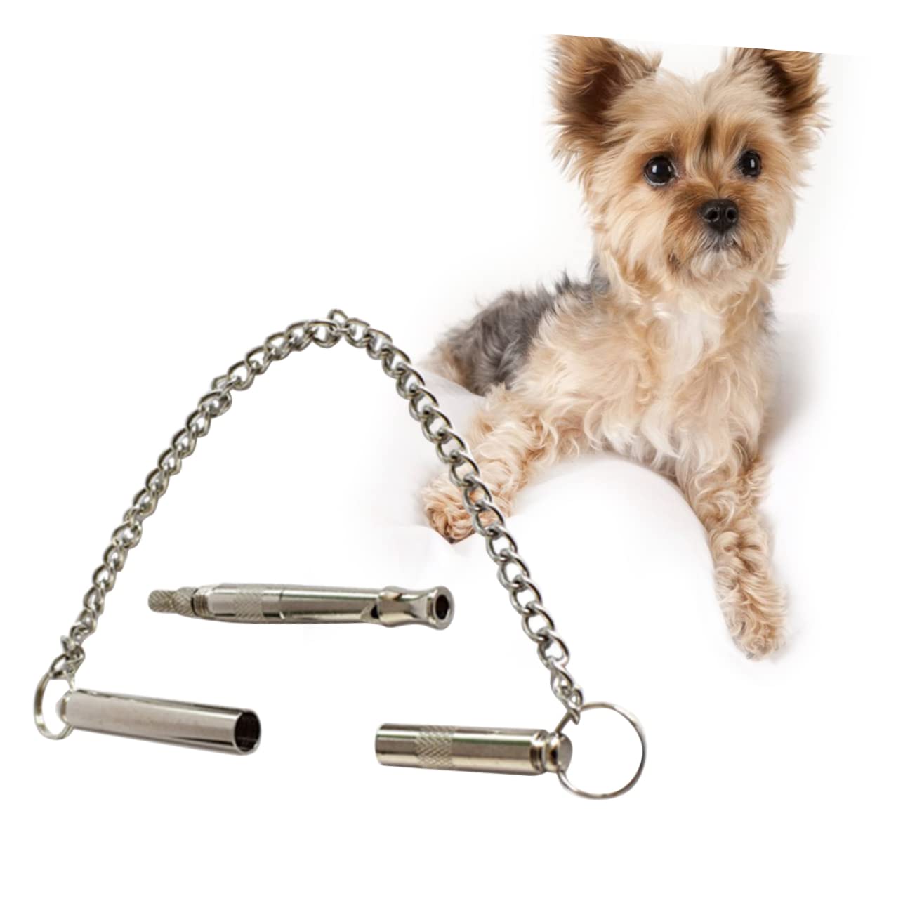 Totority Dog for Barking Training Tool Sound for Dogs Portable Lanyard for Small