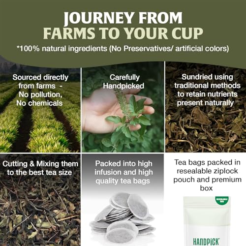 Image of HANDPICK Tulsi Tea (100 Teabags) Original Holy Basil Tea leaves from India