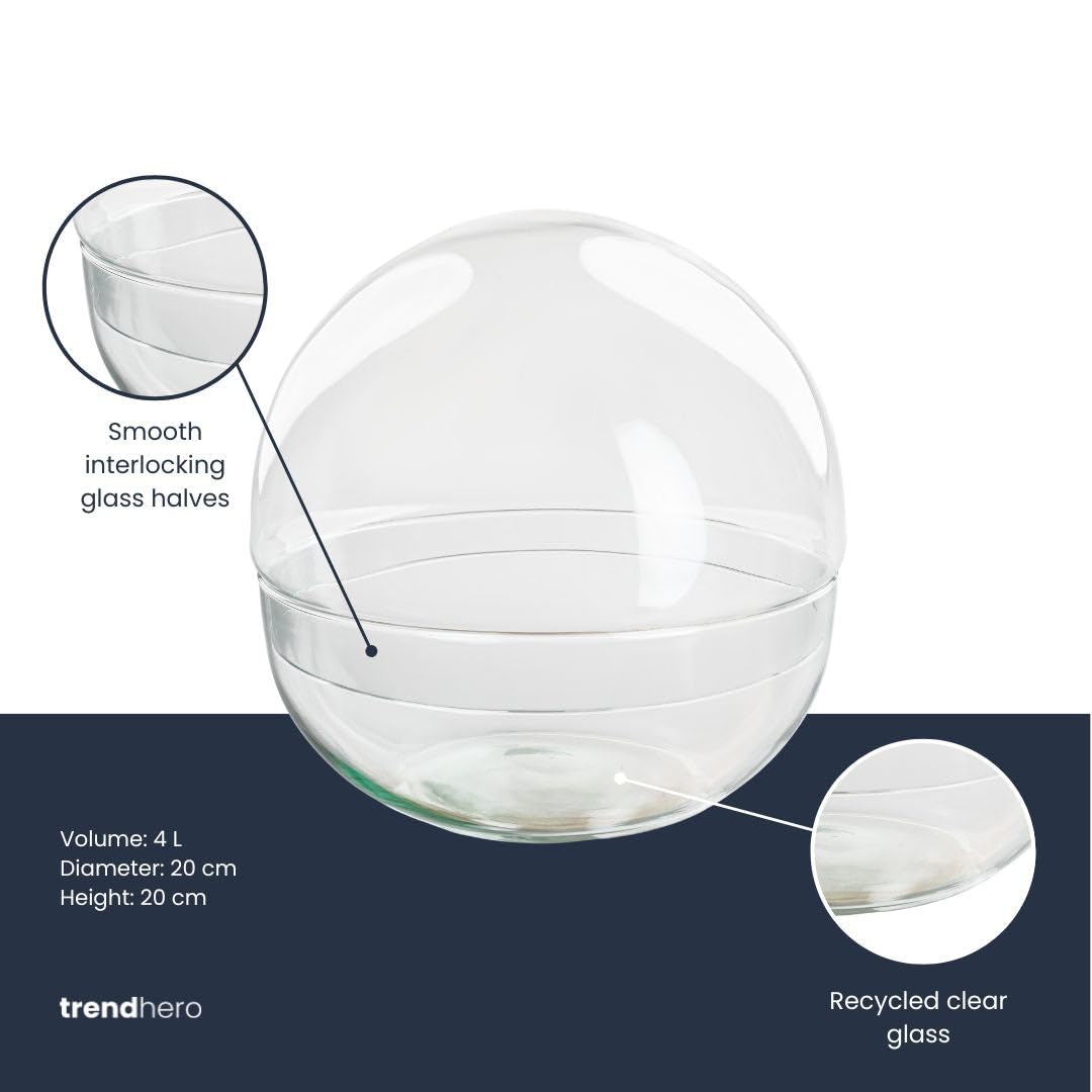 urbanjngl - Terrarium Fles 'Dome' - Zweiteiliges Bolglas - Geschlossenes Terrarium Ø 20 cm, Höhe 20 cm - Ideal für Pflanzen und Dekoration