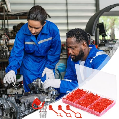 Nadinsta 210 Stück Kunststoff Schmiernippel Schutzkappe, M6 M8 M10 Schmiernippel Sortiment Schutzkappen, Fettstaubschutzkappen mit Aufbewahrungsbox, Schmiernippelkappe für Autos, Motorräder