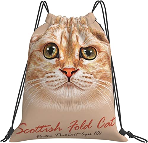 [ESASAV] XReBbVtH[h uE L В [ e h y ܂ [obO GRobO В j ^ s AEghA