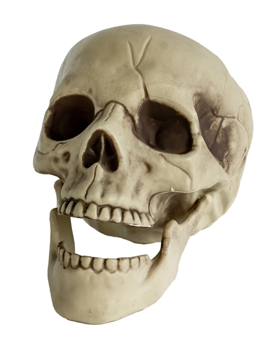 Horror-Shop Totenkopf-Deko mit beweglichem Kiefer Produktbeschreibung