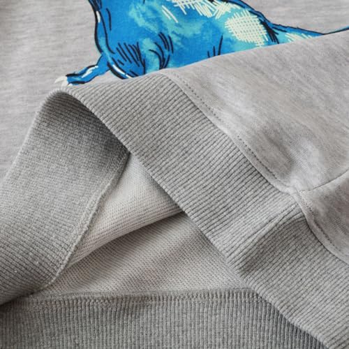 Irsutey Toddler Boys Cotton Sweatshirts Crewneck Dinosaur Pattern Long Sleeve Color Block Casual Trendy Pullover Tops 1-7Y4