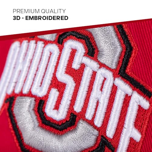 Desert Cactus Ohio State University Gorra Beisbol OSU miniatura 3