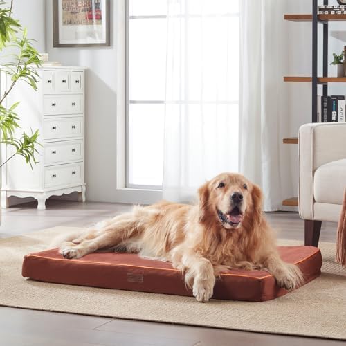 Miniatura 2 de Camas para perros impermeables L  Cama para perros para exteriores, lavable con superficie de tela Oxford, cama ortopédica de espuma para mascotas