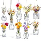 Baderke Set of 9 Glass Window Propagation Vases with Jute Rope Small Wall Propagation Vases Mini Vintage Embossed Flower Vase for Plant Lover Wedding Party Gift Hydroponic Garden Home Decoration