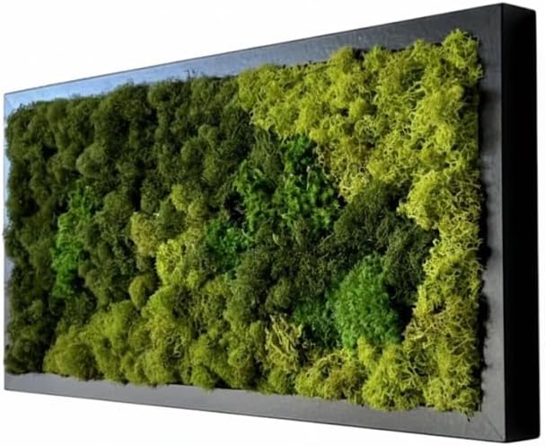 Wall Hanging - Unique Moss Wall Art - Moss Art Design - Home Decor - Office Decor - Preserved Moss - Green wall - Unique Gift - Made in USA. (31" X 14") Black