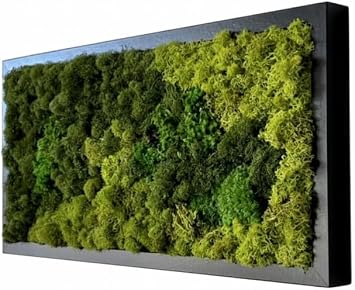 Wall Hanging - Unique Moss Wall Art - Moss Art Design - Home Decor - Office Decor - Preserved Moss - Green wall - Unique Gift - Made in USA. 31" X 14" Black