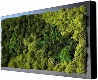 Wall Hanging - Unique Moss Wall Art - Moss Art Design - Home Decor - Office Decor - Preserved Moss - Green Wall - Unique Gift - Made in USA. (31" X 14") Black