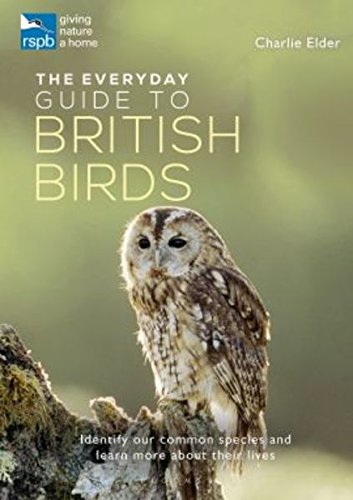 The Rspb Everyday Guide To British Birds
