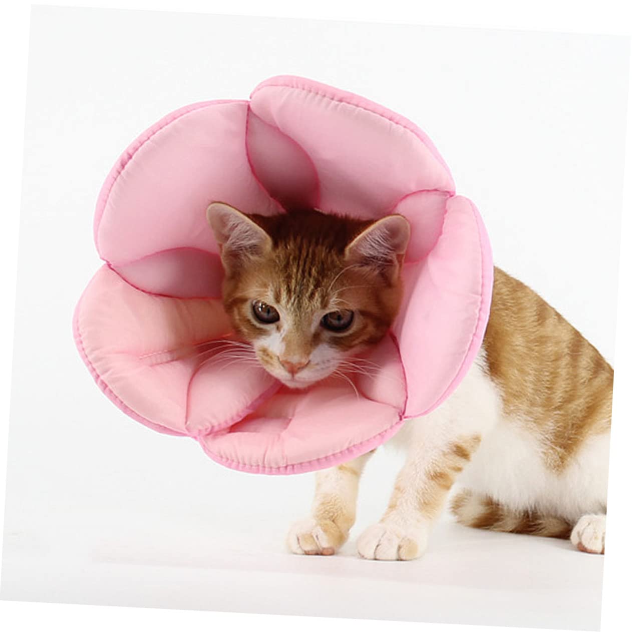 Amosfun 2stücke Pet Protective Flower-Shaped Elizabethan Collar Anti- Neck Circle Für Hunde Und Katzen XL