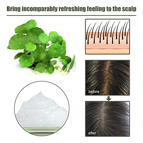 Centella Asiatica Purifying Scrub Gentle Exfoliating Scalp Nourishes Softens Hair Centella Asiatica Sea Shampoo Deep Conditioning Heat Cap For Curly Hair (A, One Size) #TOP1