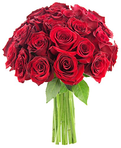 Bouquet Of Long Stemmed Red Roses (Two Dozen) - The Kabloom Collection Flowers Without Vase #TOP26