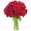 Red Rose