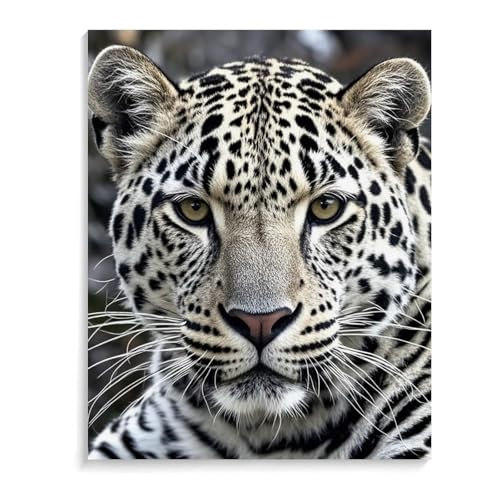 Kit peinture acrylique léopard noir et blanc idée cadeau adultes