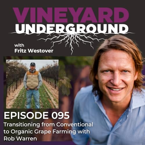 095: Transitioning from Conventional to Organic Grape Farming with Rob Warren