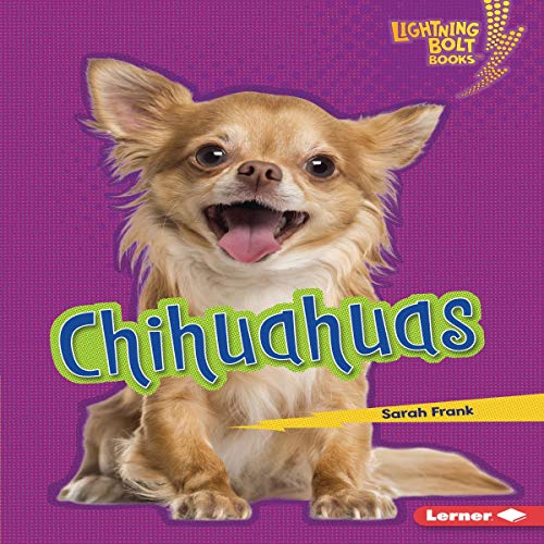 Chihuahuas by Sarah Frank episode artwork