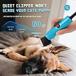 CGOLDENWALL Leise Hundeschermaschine Profi 280W, 2000-6000RPM Stufenlose Geschwindigkeitsregelung, 3m Stromkabel, für Haustiere aller Fellarten, Mit 2 Klingen und 2 Aufsteckkämmen (3/6mm, 9/12mm) – Bild 3