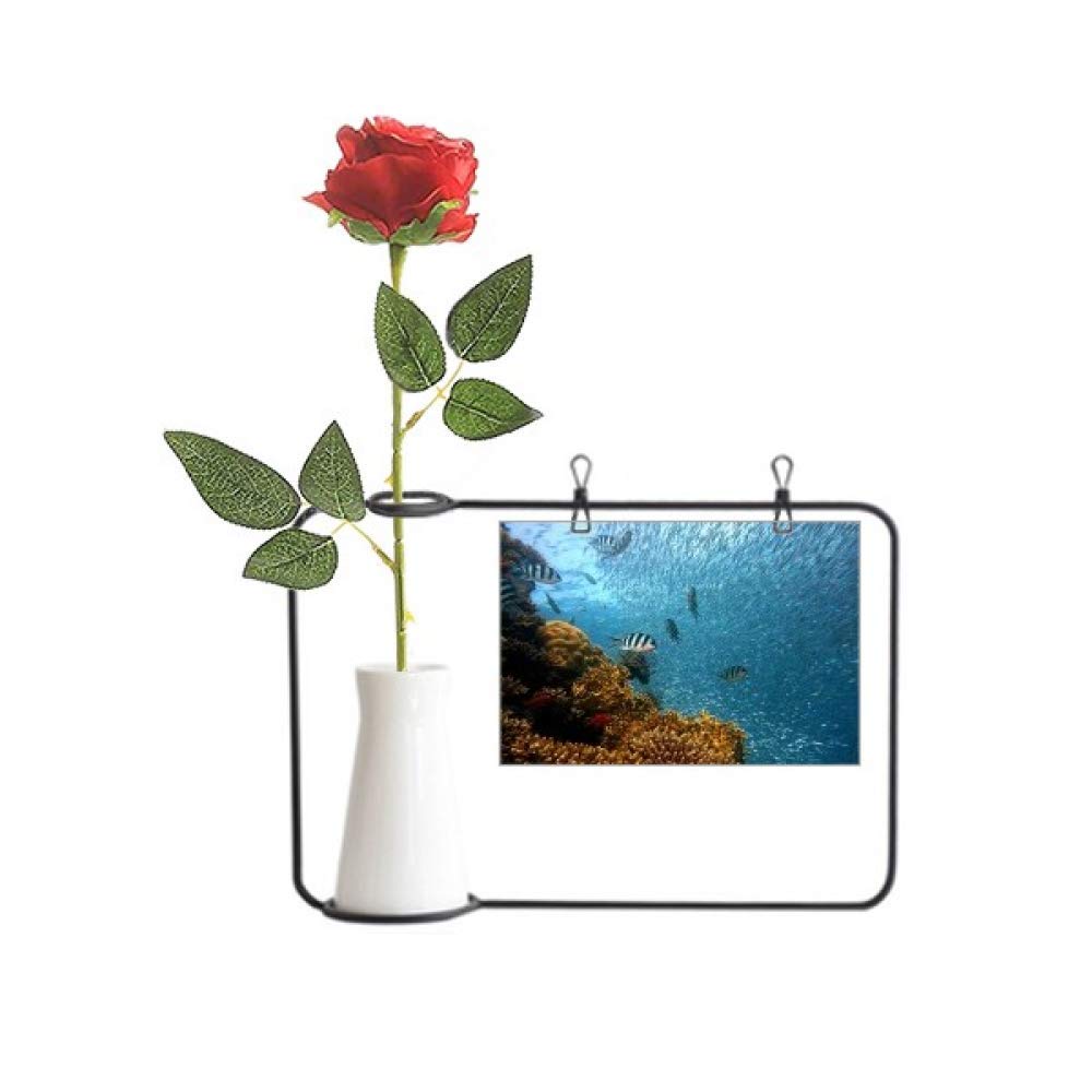 Poisson et ocean dans un vase decoration bouteille pour salon