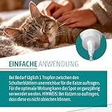 AniGo Parasitenschreck Spot On für Katzen 50ml – Flohmittel & Zeckenmittel für Katzen, Effektiv gegen Ektoparasiten Floh und Zeckenmittel, Lösung zum Auftropfen, Floh- & Zeckenschutz