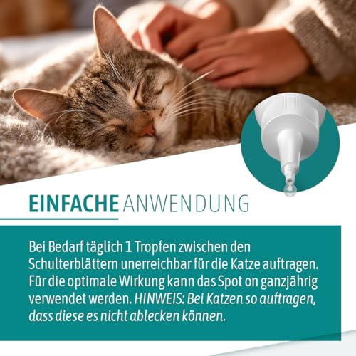 AniGo Parasitenschreck Spot On für Katzen 50ml – Flohmittel & Zeckenmittel für Katzen, Effektiv gegen Ektoparasiten Floh und Zeckenmittel, Lösung zum Auftropfen, Floh- & Zeckenschutz