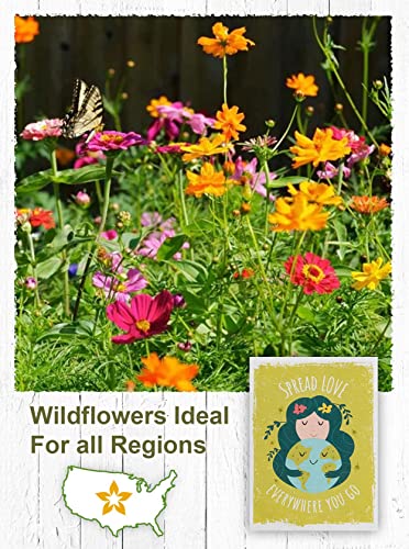 American Meadows Wildflower Seed Packets ''Spread Love Everywhere You Go'' Party Favors, (Pack Of 20) - Wildflower Seed Mix, Plant Year-Round, Great Gift For Hostesses, Showers, Weddings, Thank You #TOP4