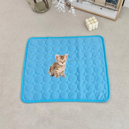 ���p�u�����P�b�g �\�t�g �ʋC�� ���b�V�� �N�b�V���� �􂦂� �h�����n �y�b�g�̉��K����ǋ� �u���[ 16"×12"