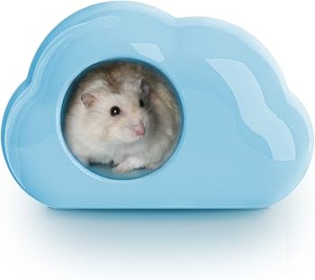 Amazon | BUCATSTATE ハムスター 雲 ハウス 陶器 クラウドの形 涼しい
