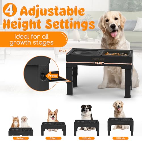 URPOWER 2-in-1 Elevated Slow Feeder Dog Bowls with No Spill Dog Water Bowl 4 Height Adjustable Raised Dog Bowl Non-Slip Dog Food and Water Bowls with Stand for Small Medium Large Dogs, Cats and Pets - Image 3