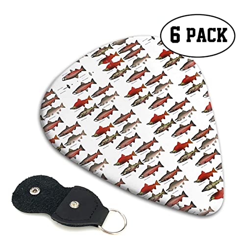 Salmon Lot de 6 médiators pour guitare acoustique, guitare électrique, basse, ukulélé – fins, moyens et épais - Les Beatles, Paul McCartney, John Lennon, RIngo Starr, George Harrison Salmon Lot de 6 médiators pour guitare acoustique, guitare électrique, basse, ukulélé - fins, moyens et épais – Image 3