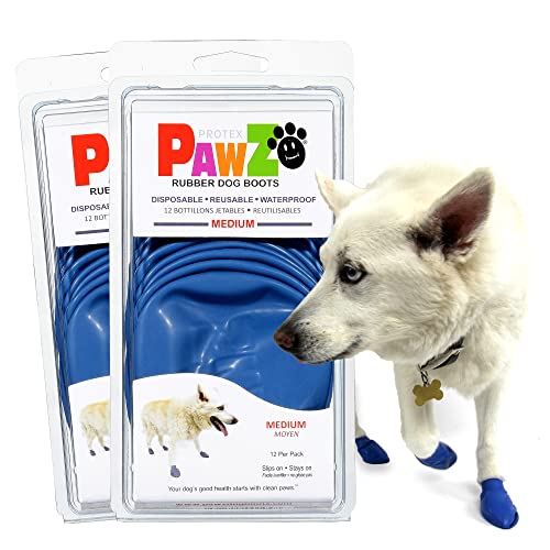10 Best Pawz Dog Boot Reviews and Buying Guide for Happy Paw Protection
