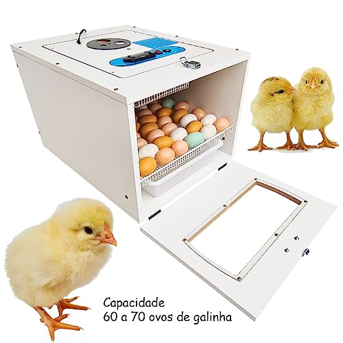 Chocadeira Automática digital Juli 70 Com Ovoscópio (110 V)