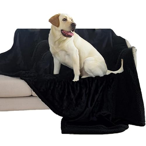 YMZJ ���u�u�����P�b�g �h�� �y�b�g �� �u�����P�b�g �􂦂� �ѕz ���� �R��h�~ �\�t�@�[�ی� �L �ӂ�ӂ� �t�����l�� �}�b�g �q�� �q�L�p �l�G�K�p �y�b�g�x�b�h ������ �ԓ� ���� �Ƌ�v���e�N�^�[ �J��Ԃ��g���� (C,XL)