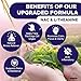 QuitPix to Help Quit Smoking Extra Thick Flavored Toothpicks with NAC & L-Theanine, That can Help Quit Smoking - Oral Fixation - Nicotine Free - Kosher, Vegan, 5 Flavors Variety Pack of 2, Made In USA