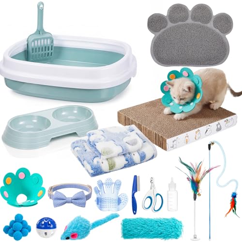 Leitee Kitten Starter Kit Blue