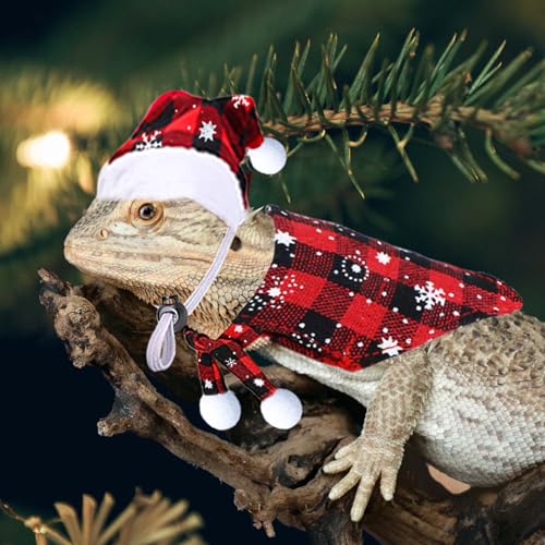 Disfraz Navideño Para Dragón Barbudo Pequeño miniatura 6