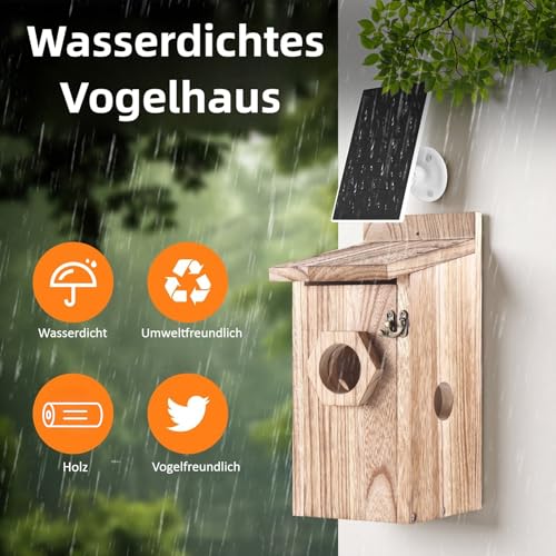 Vogelhaus mit 5MP Kamera, Nistkasten für Vögel für Draußen, 2,4 G WiFi & App Benachrichtigung, Video/Fotoaufnahme & Bewegungserkennung, Beobachten des Vogellebens, Nachtsicht, Solarbetrieb,B