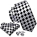 Barry.Wang Classic Ties for Men Geometric Plaid Necktie Set