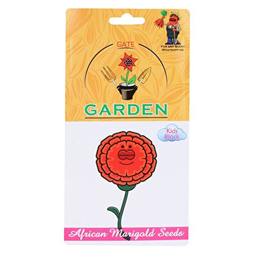 Gate Garden African Marigold Flower Seed Kids Block