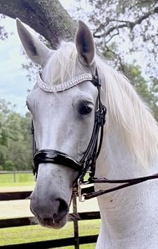 Horse Dazzle Crystal Browband for English Bridle 5-Row Clear Rhinestones, Dressage & Show Horse Tack, 16.5 in, Detachable Snap Closure