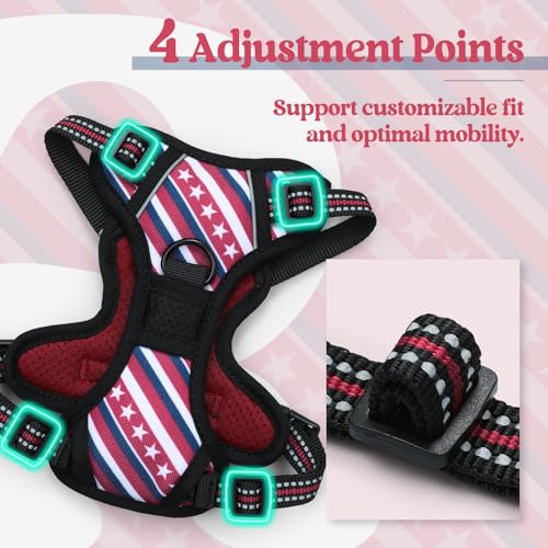 Image of rabbitgoo Dog Harness No Pull with 2 Leash Clips, Adjustable Soft Padded, Reflective Oxford No Choke Pet Vest with Easy Control Handle for Large Dogs, Red Stripe, XS
