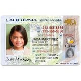 1 Cute Pooch Kid Novelty Driver License Child Safety Identification Card for Children Under 12 (California)