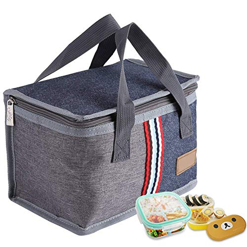 Geïsoleerde lunchtas, thermische koelzak 23x15x16 cm draagbaar voor picknick, werk, school voor vrouwen, mannen, kinderen