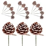 Hohopeti 20 Stück Weihnachts Tannenzapfen Ornamente Tannenzapfen Ornament Dekorationen Für Girlanden Weihnachtsgirlanden Weihnachtskranz